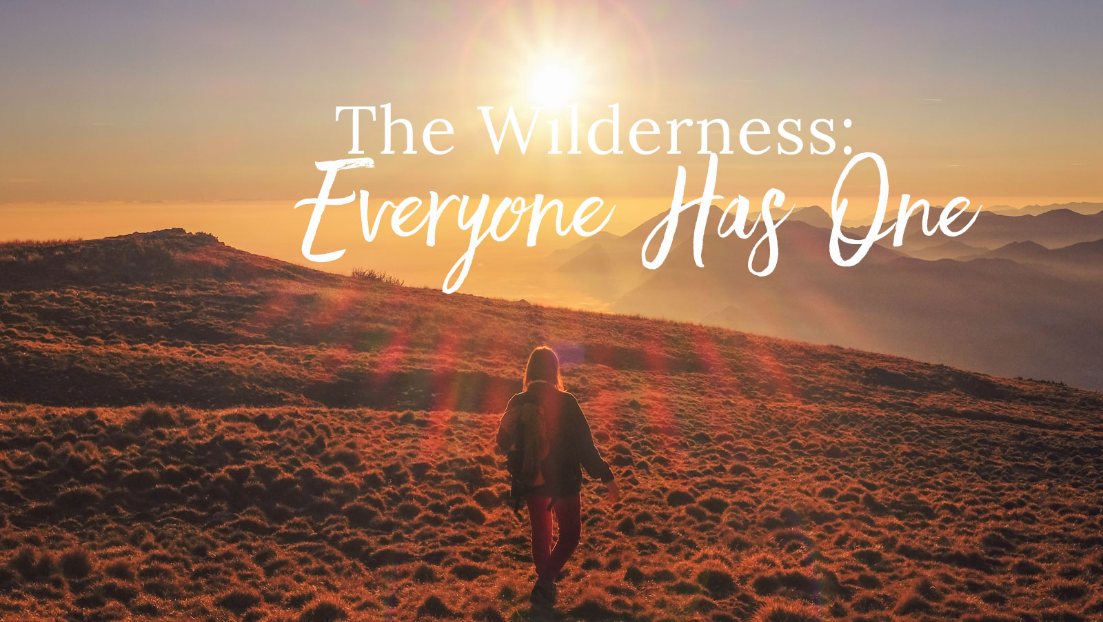 The Wilderness: Everyone Has One